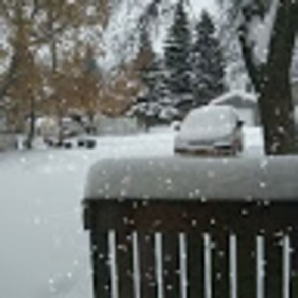 Meet your Posher, Audrey - Picture 1 of 1